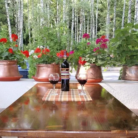 Szálloda Family Emaly 2